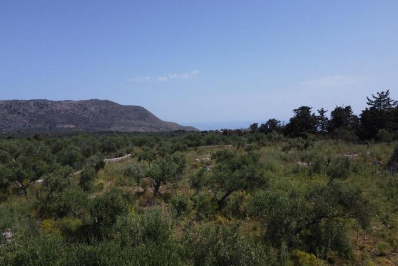 Kefalas Kreta, Kefalas: Malerisches Grundstück mit Meerblick zu verkaufen Grundstück kaufen